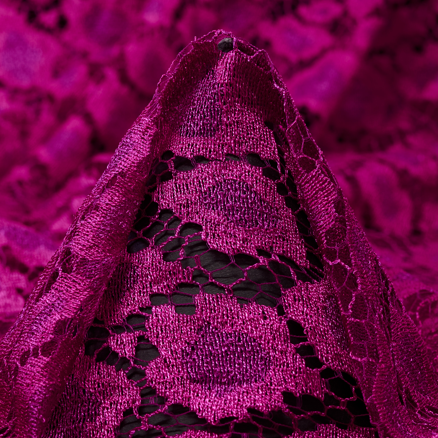 Pizzo, Viscosa, Magenta Haze