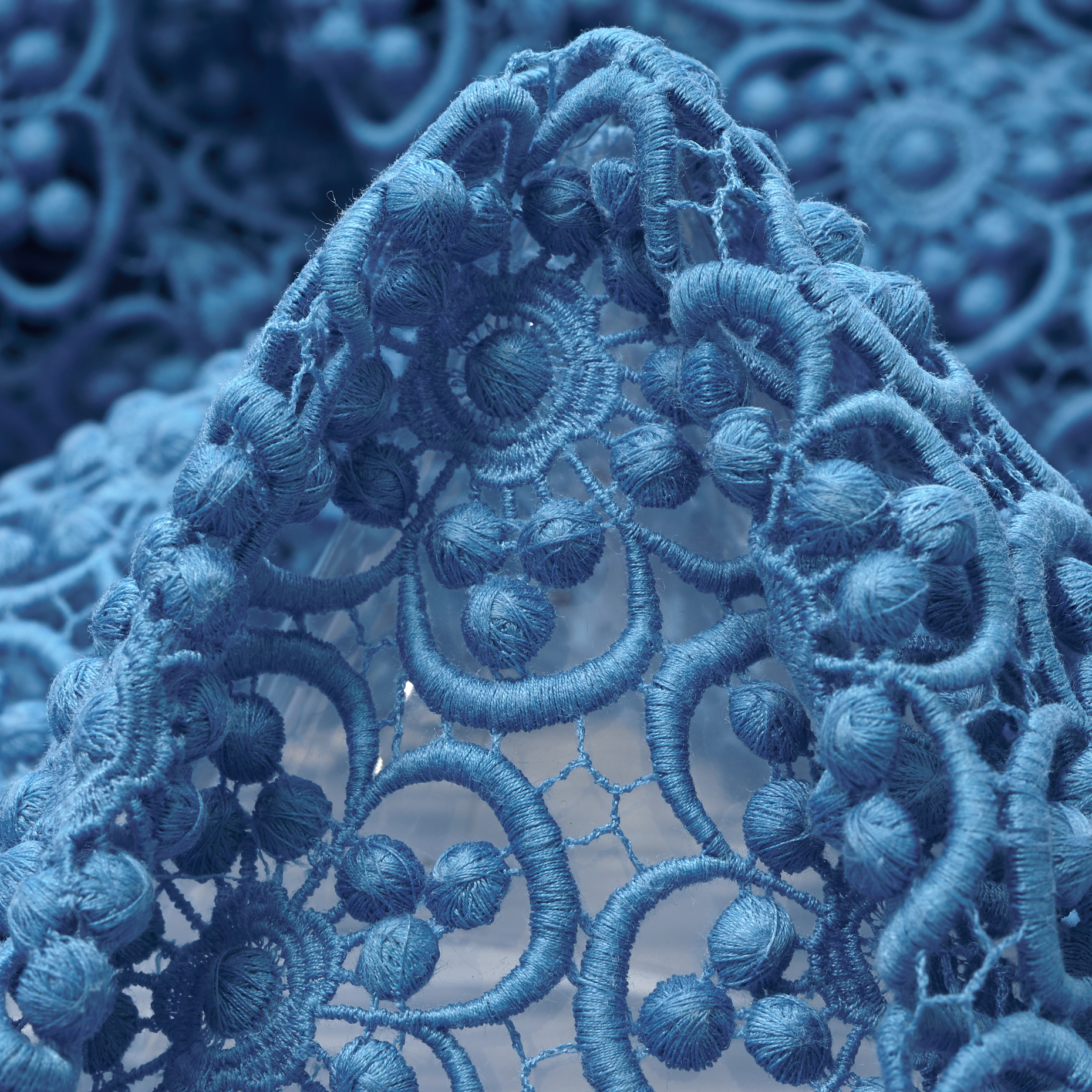 Pizzo, Cotone, Floreale, Malibu Blue