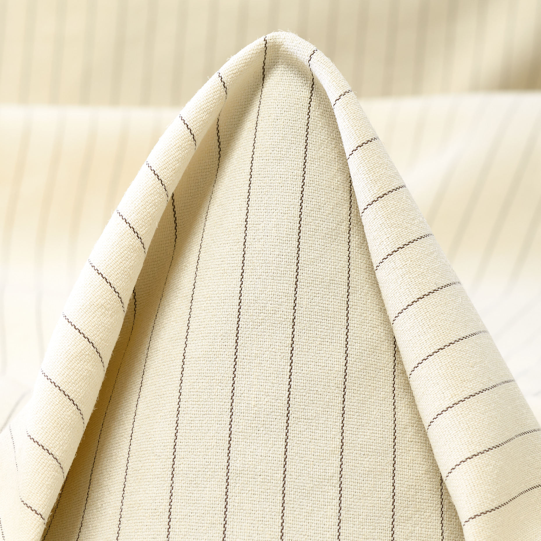 Cotone, Seta, Pinstripes, Antique White&Raven Black (F000053156)
