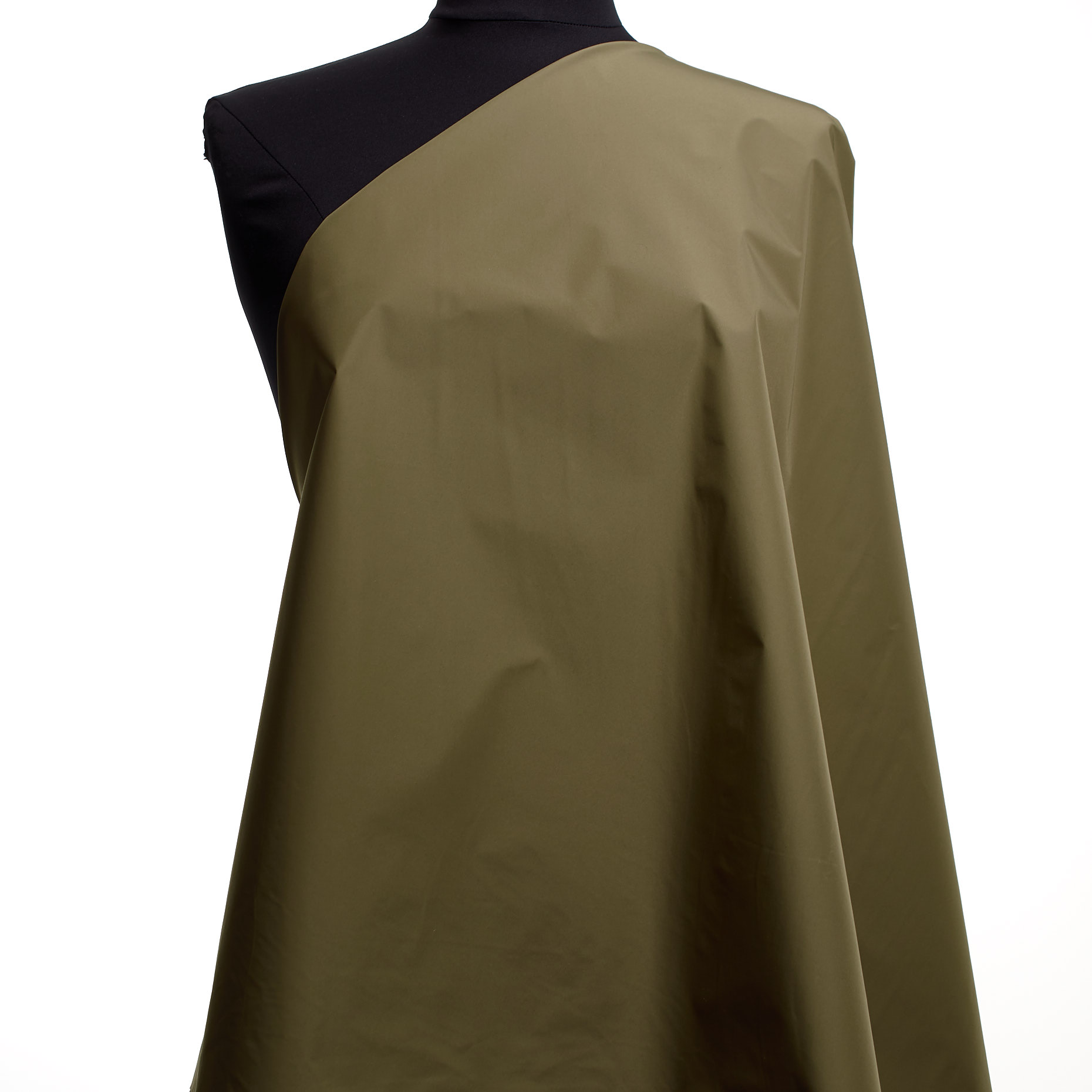 Taffeta, Dried Herb