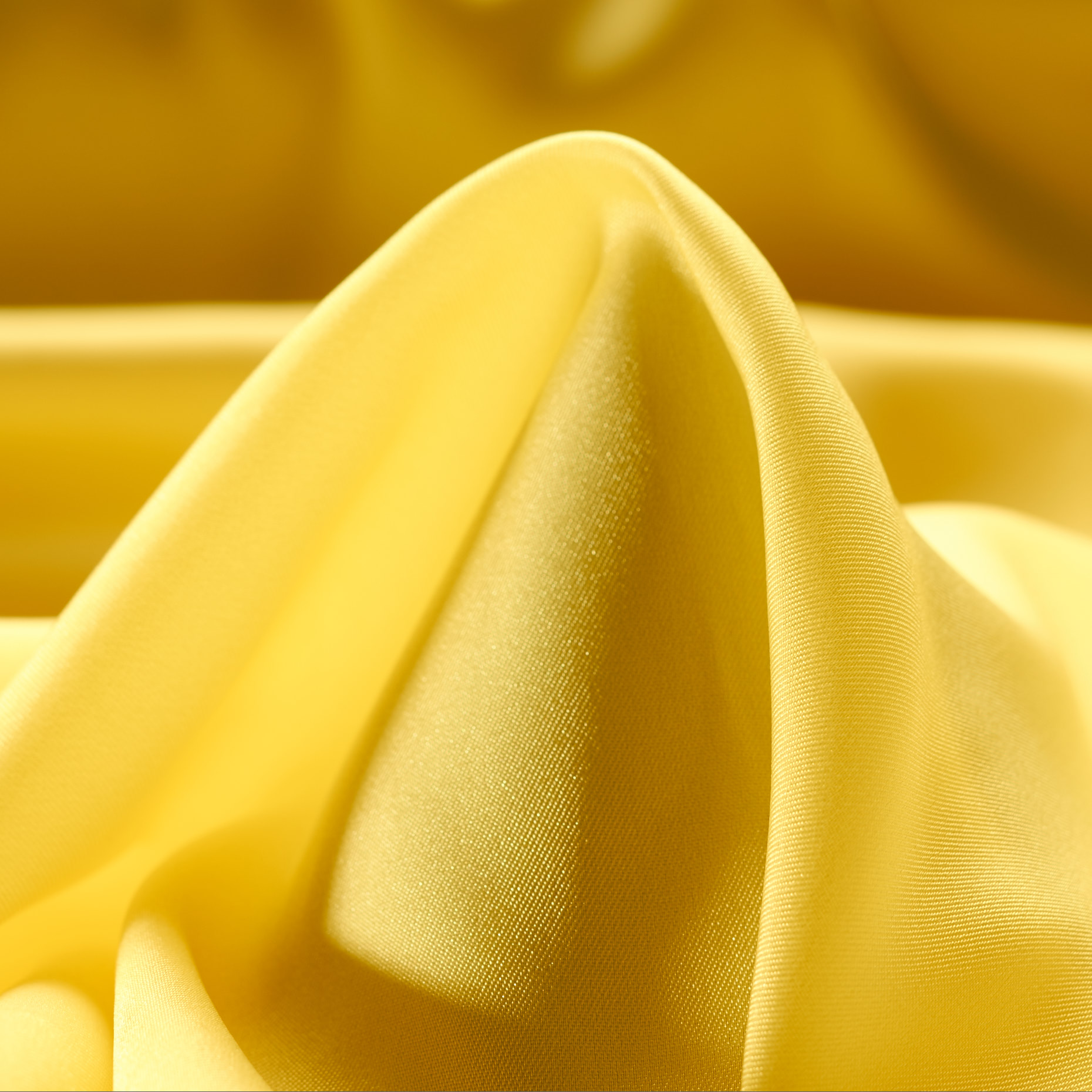 Fodera, Canary Bird (F000021321)