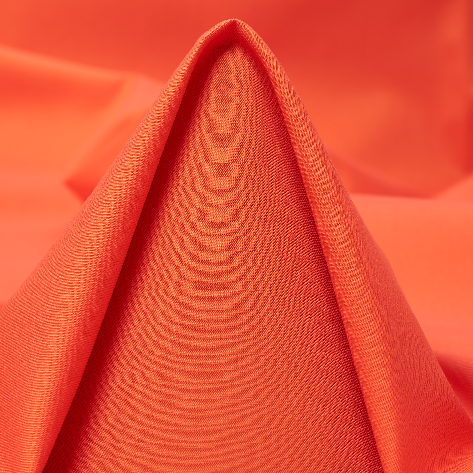POPLIN, COTTON, ELASTIC, KOI