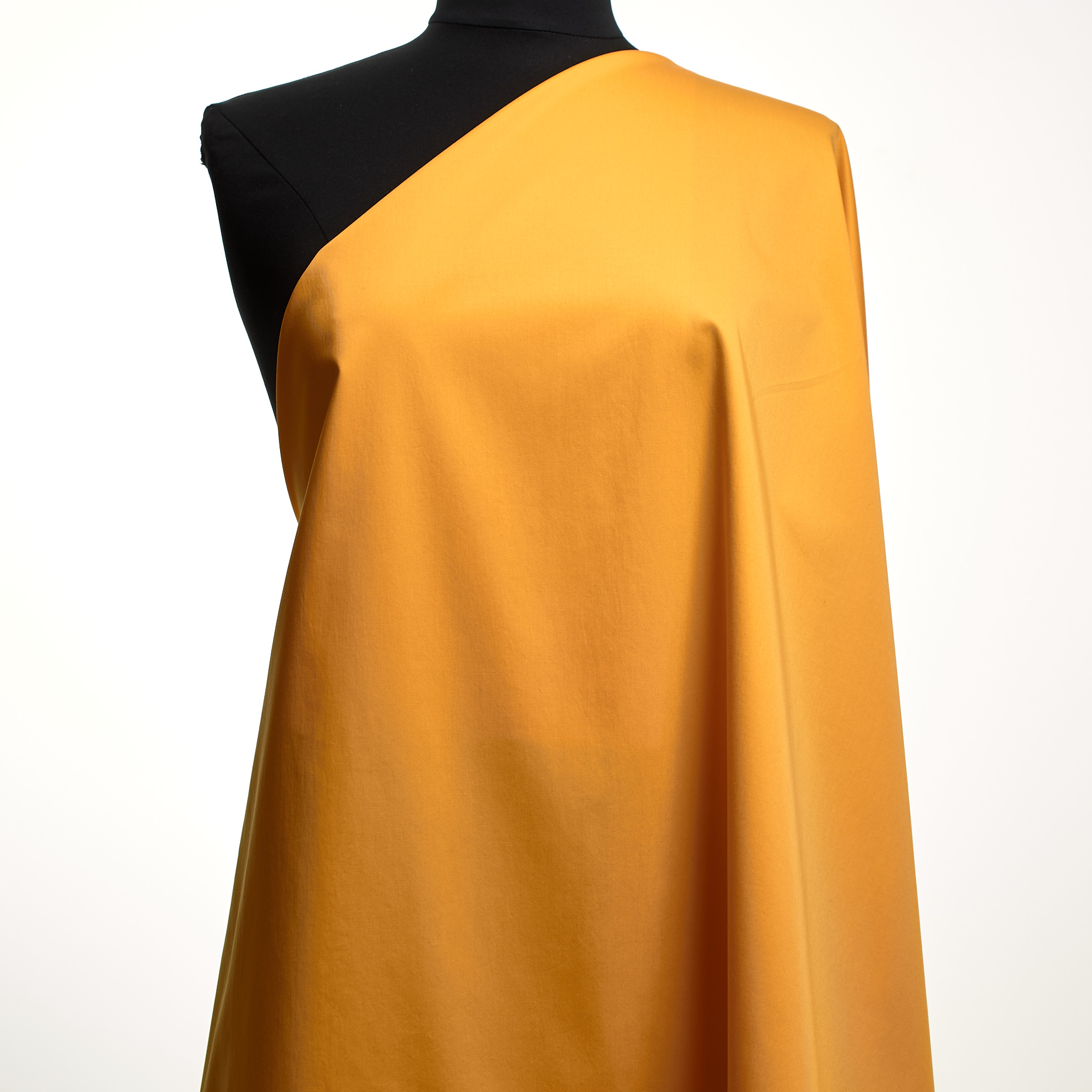 POPLIN, COTTON, ELASTIC, GOLDEN CREAM