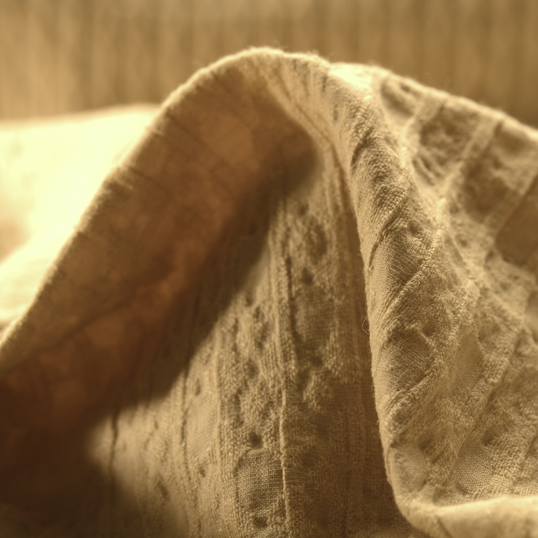 Jacquard, Cotone Elastico, Tono su Tono, Almond (F000016029)