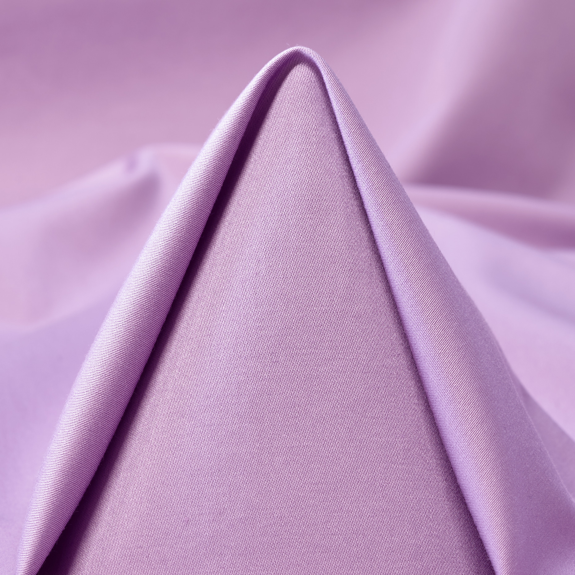 Popeline, Cotone, Stretch, Orchid Bouquet (F000051222)