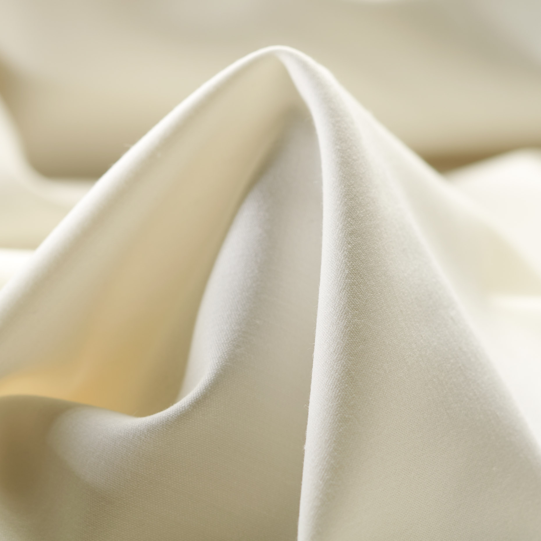 COTTON, ELASTIC, BRUSHED, SNOW WHITE