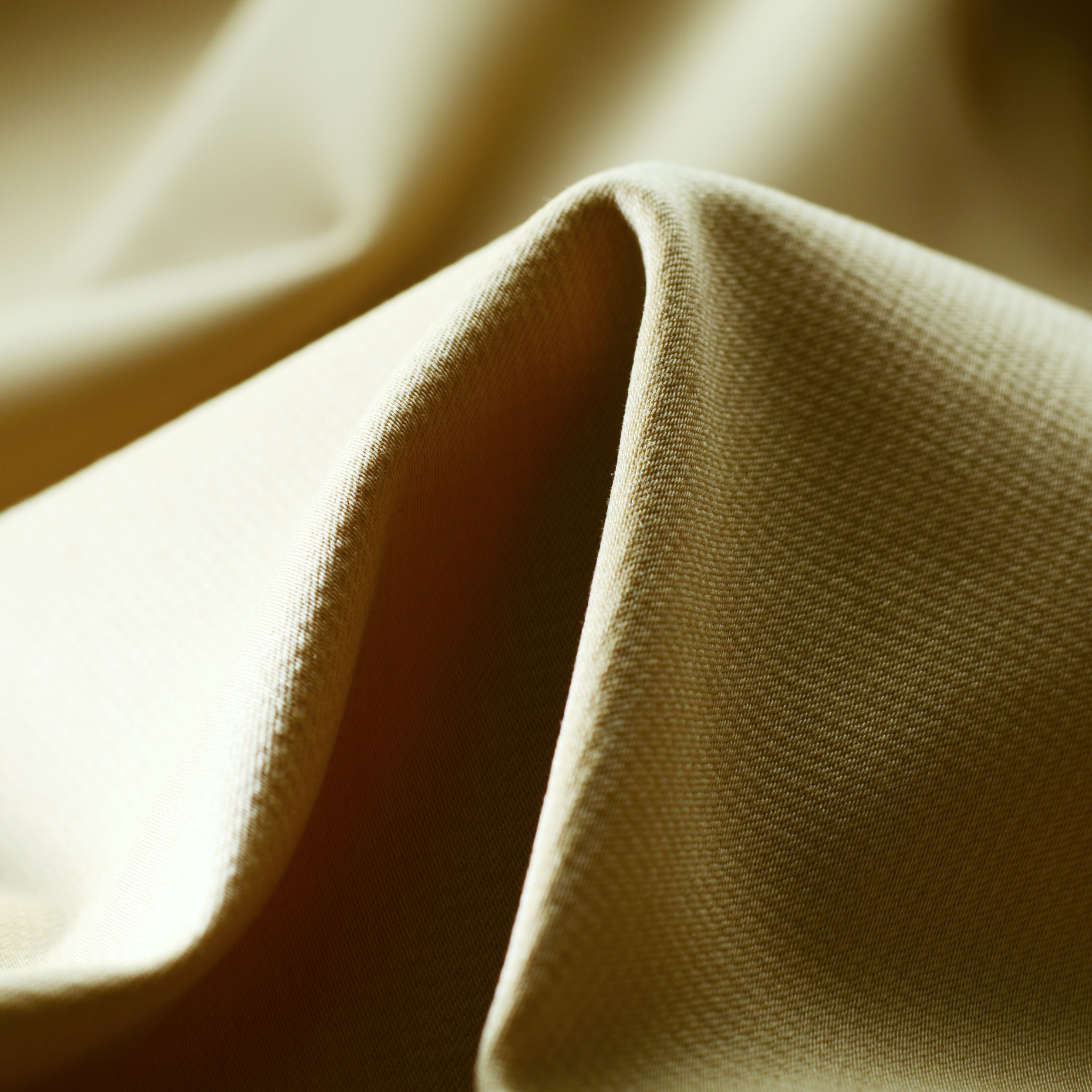 Popeline, Cotone, Micro Design, Biscotti (F000007398)