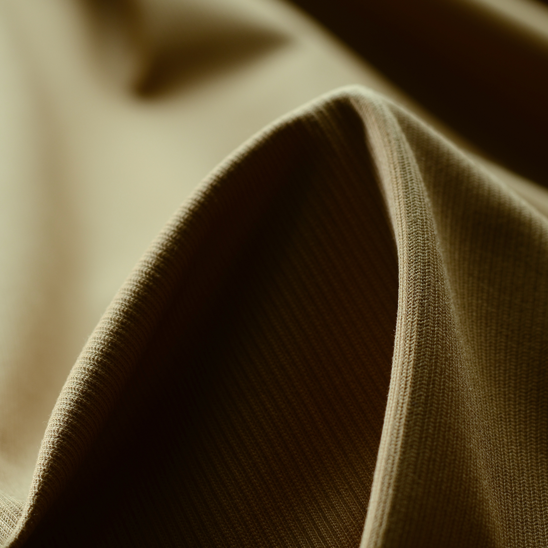 Twill, Cotton, Elastic, Biscuit