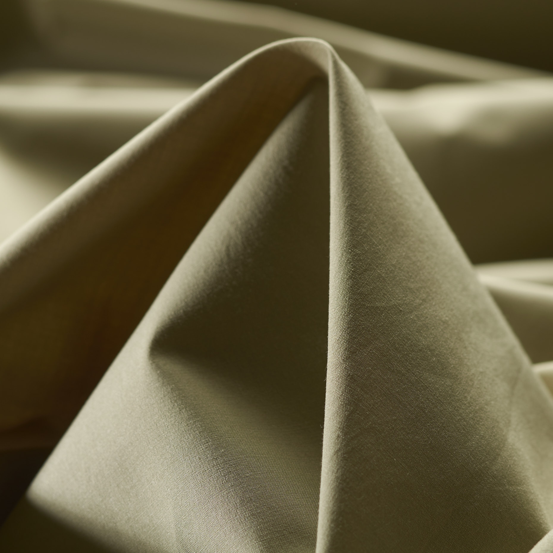 Popeline, Cotone Elastico, Pale Olive