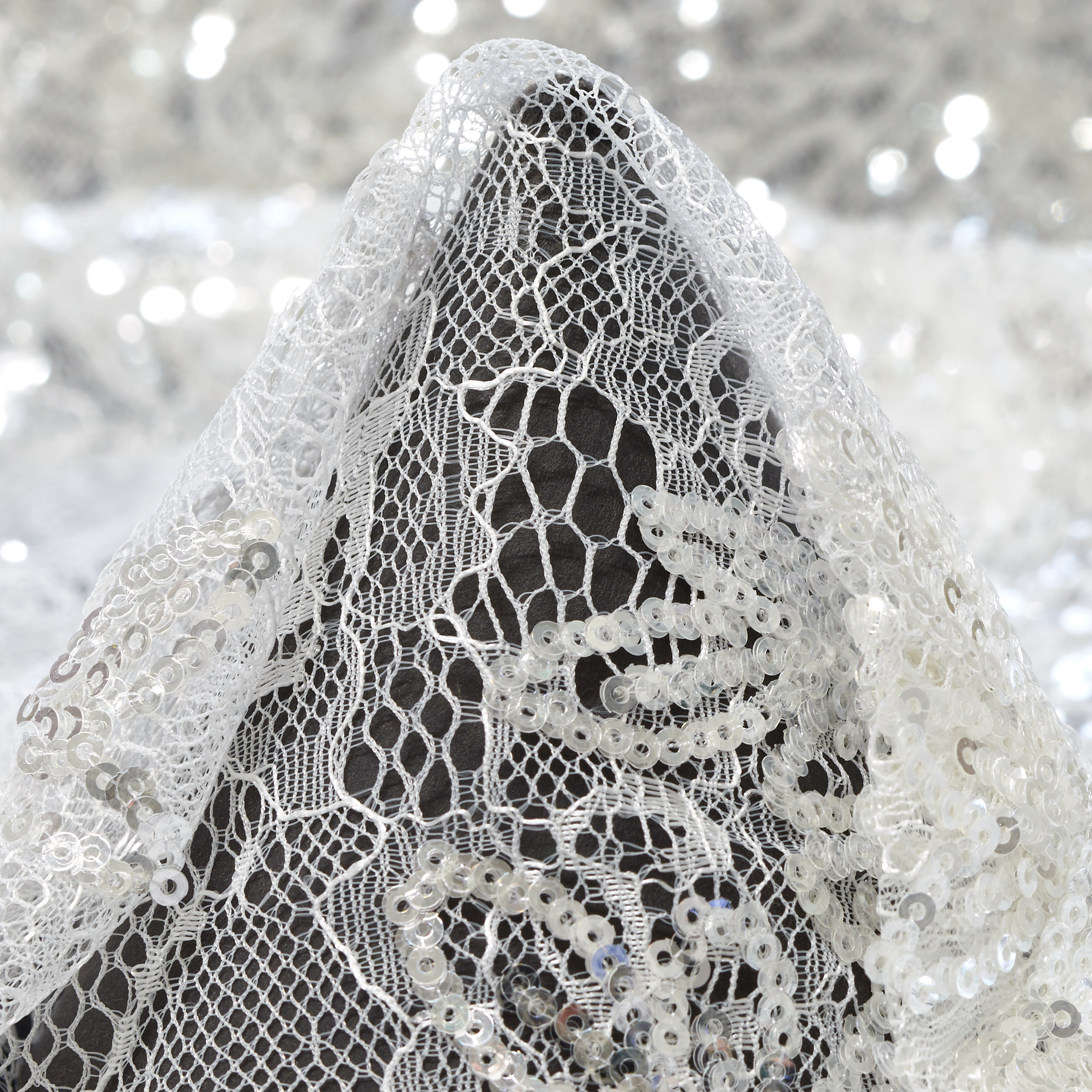Encaje, Lentejuelas, Bordado, Brilliant White&Silver