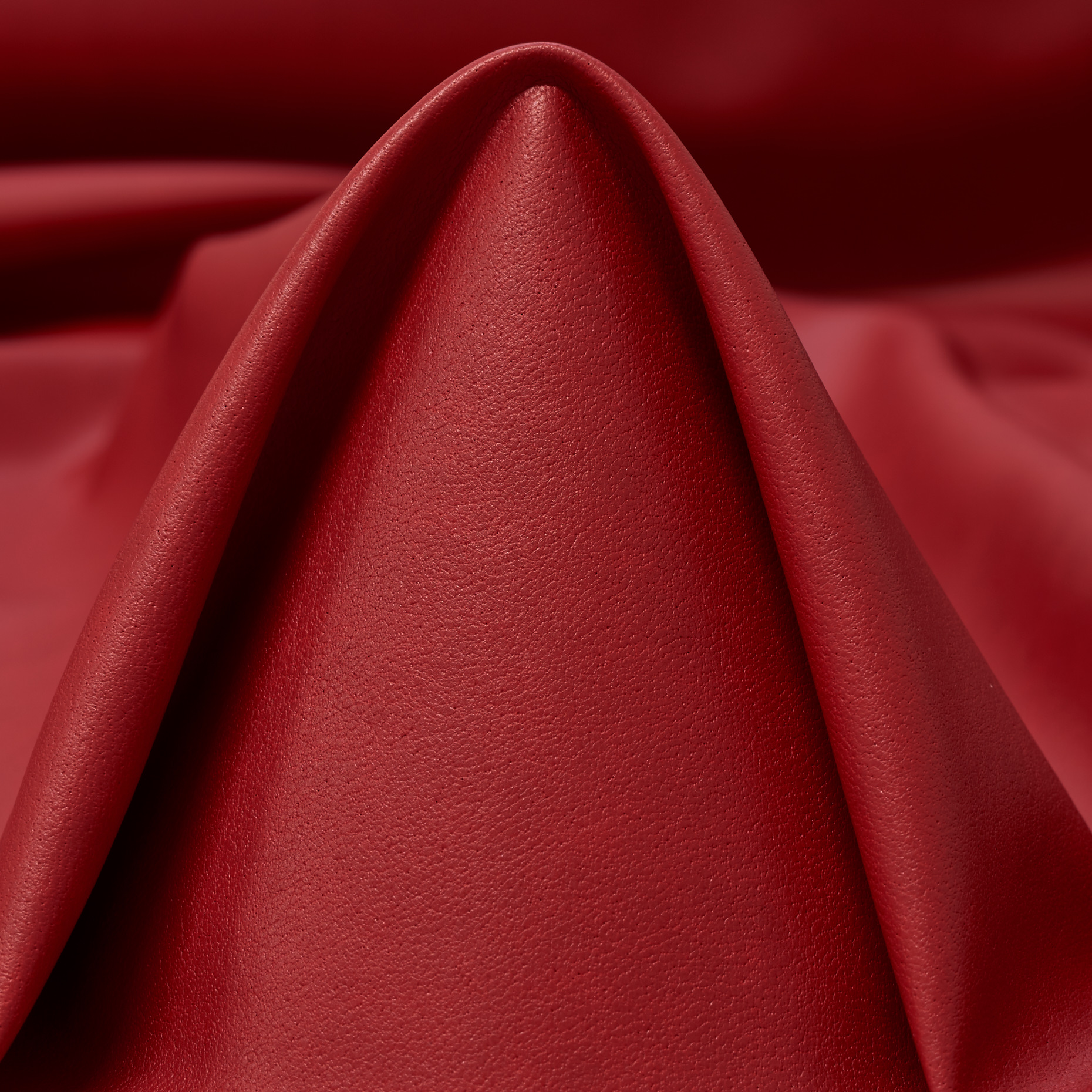 Finta Pelle, Savvy Red