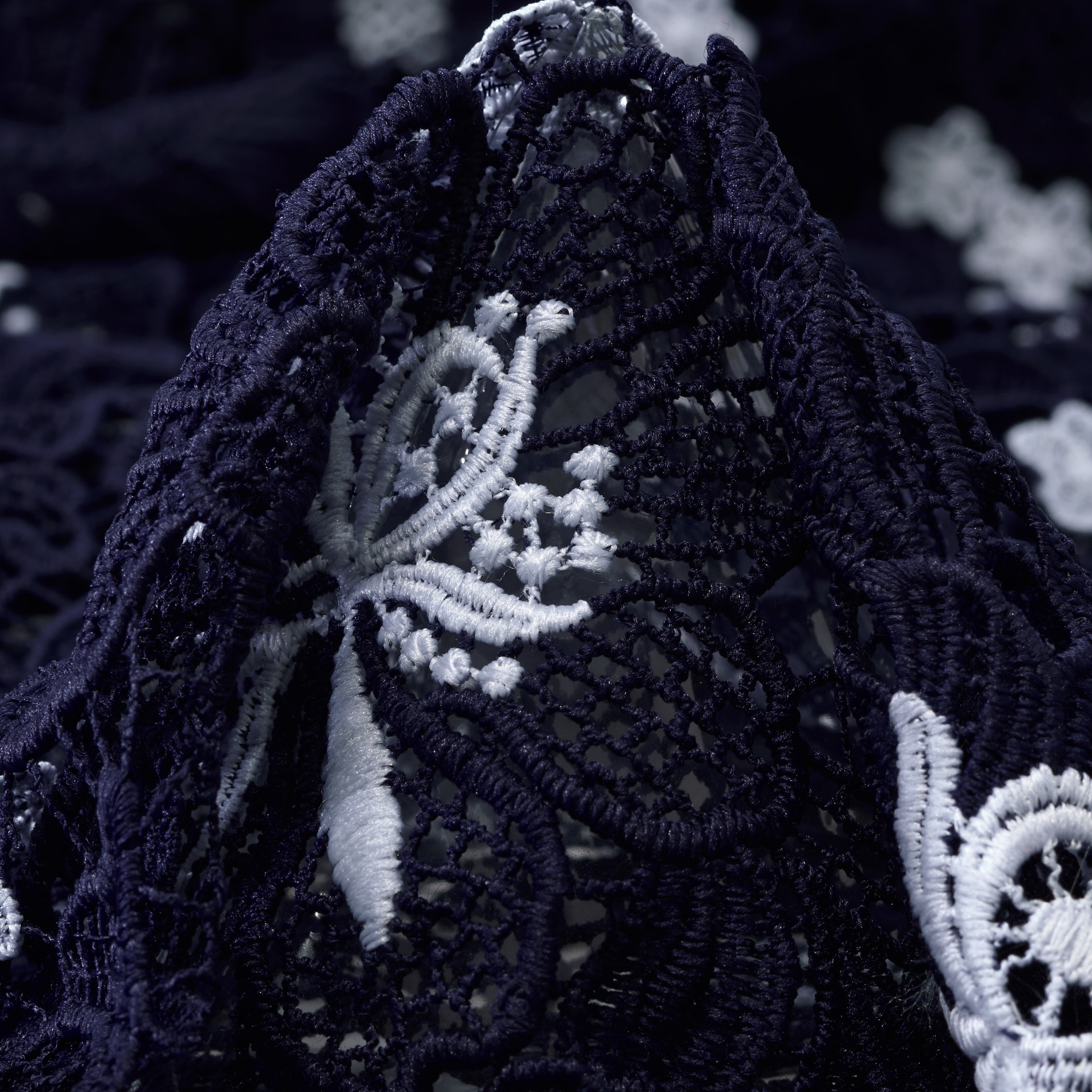 LACE, DARK NAVY&SNOW WHITE