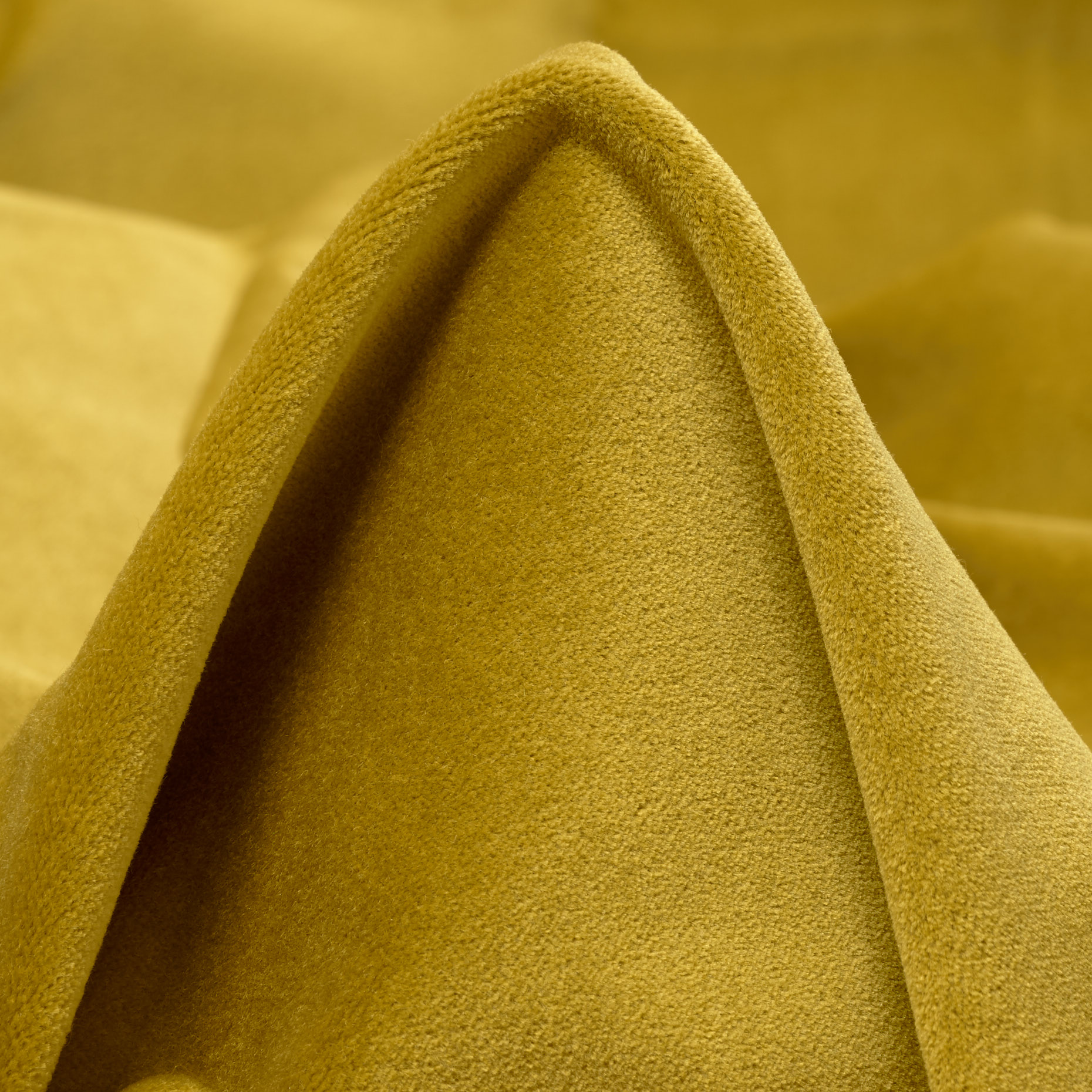 Velluto, Cotone, Olive Oil