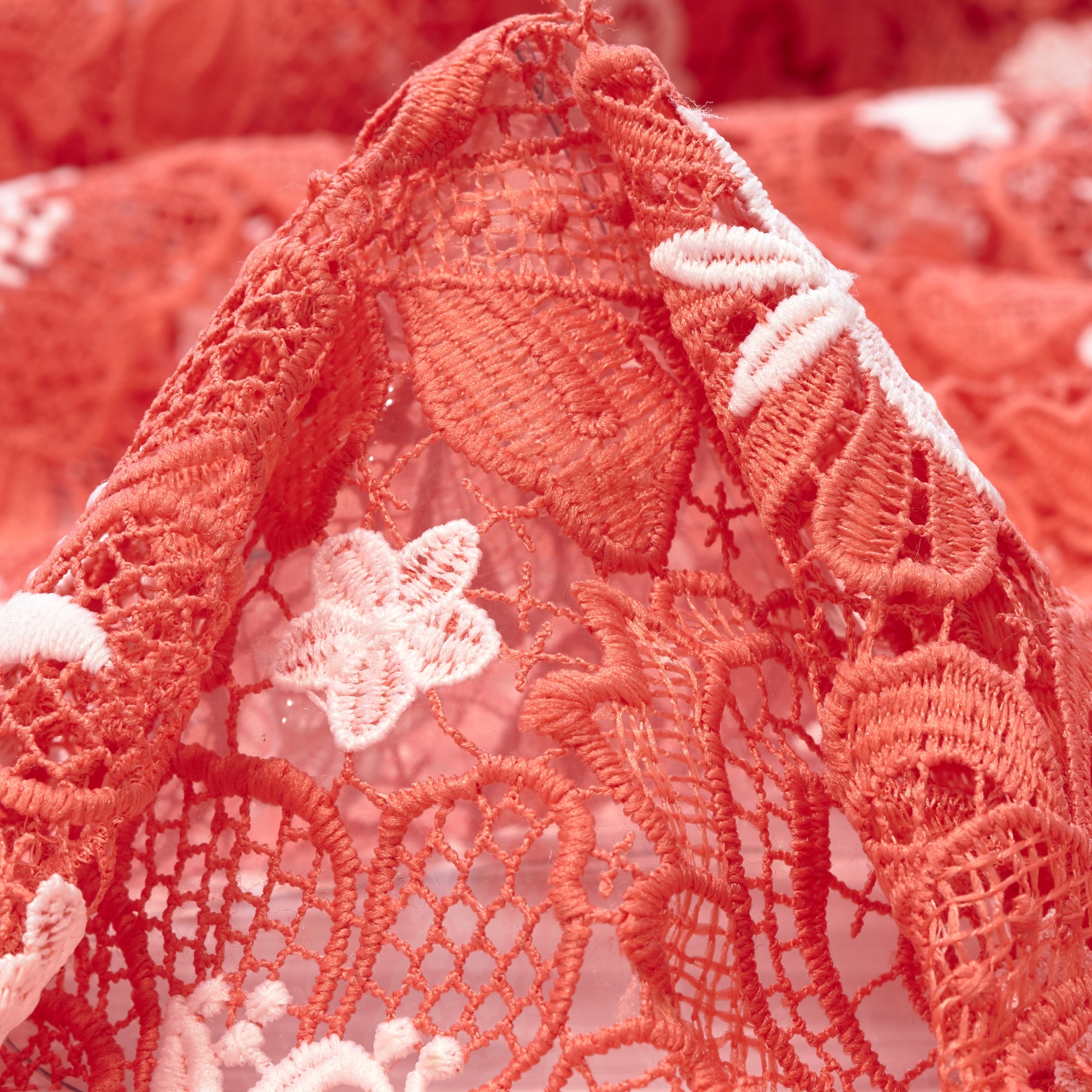 Pizzo, Floreale, Flamingo (F000033270)