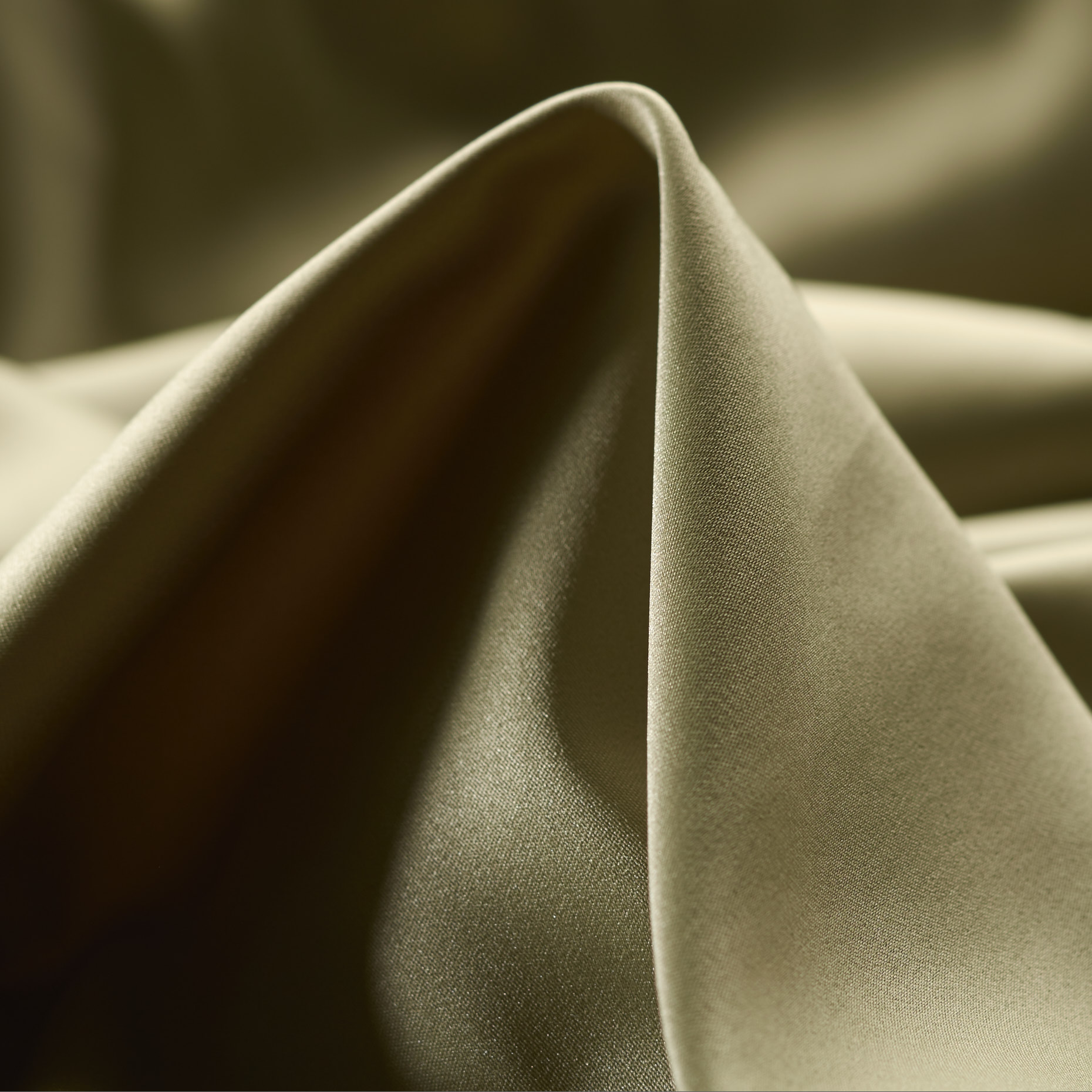 SATIN, ELM