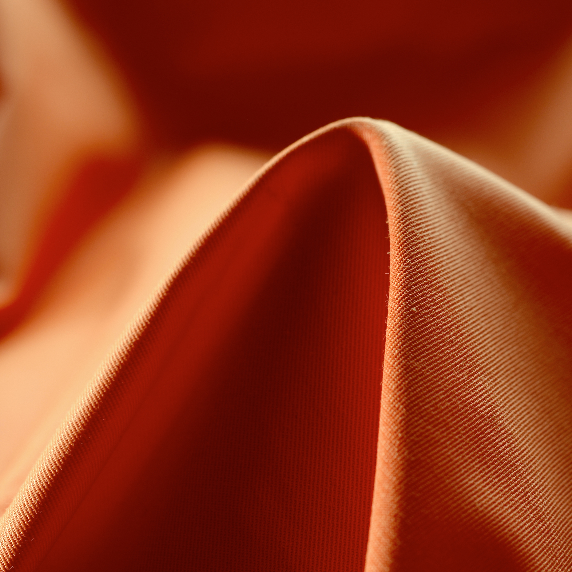 TWILL, COTTON, ELASTIC, CORAL ROSE