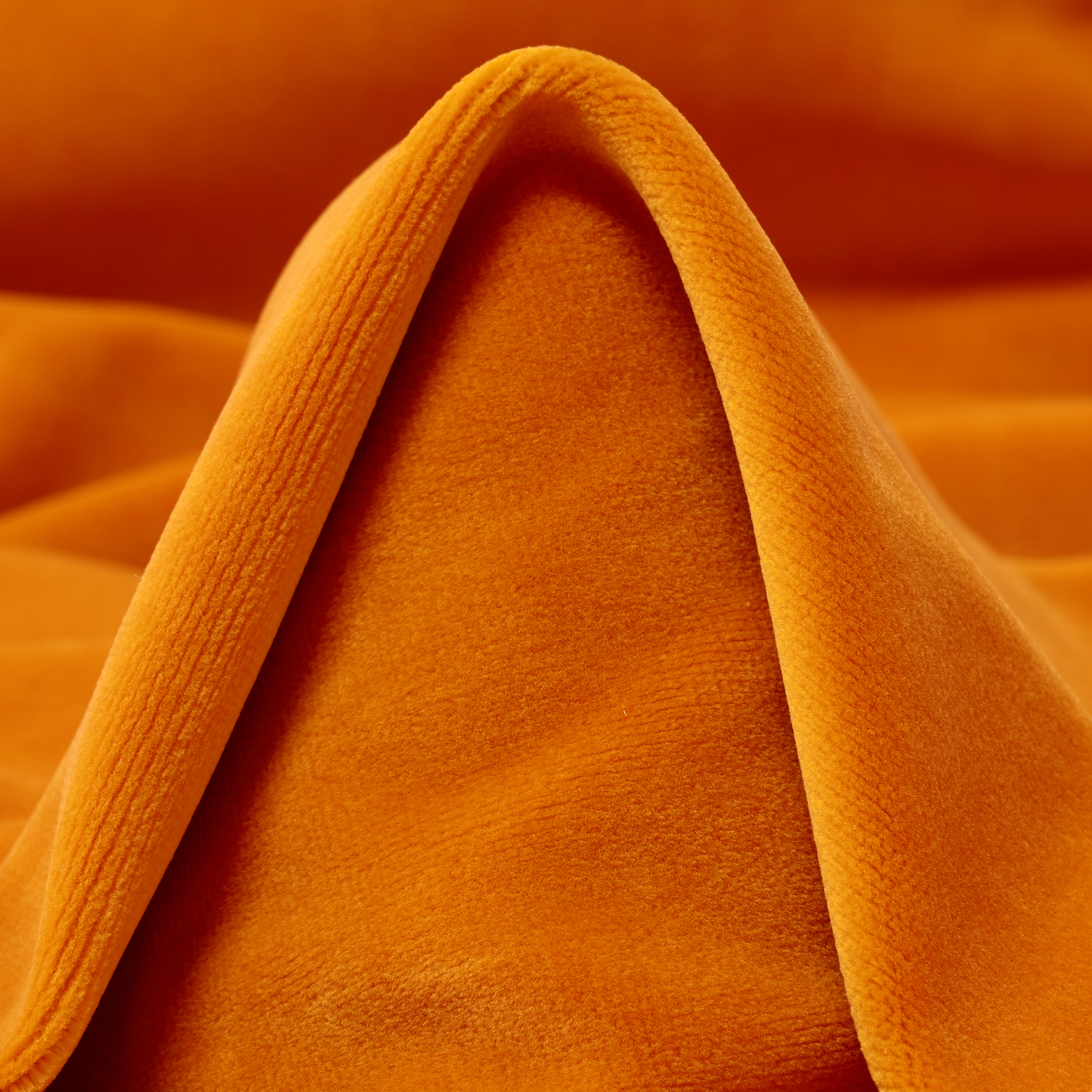 Velluto, Cotone, Persimon (C0002330)