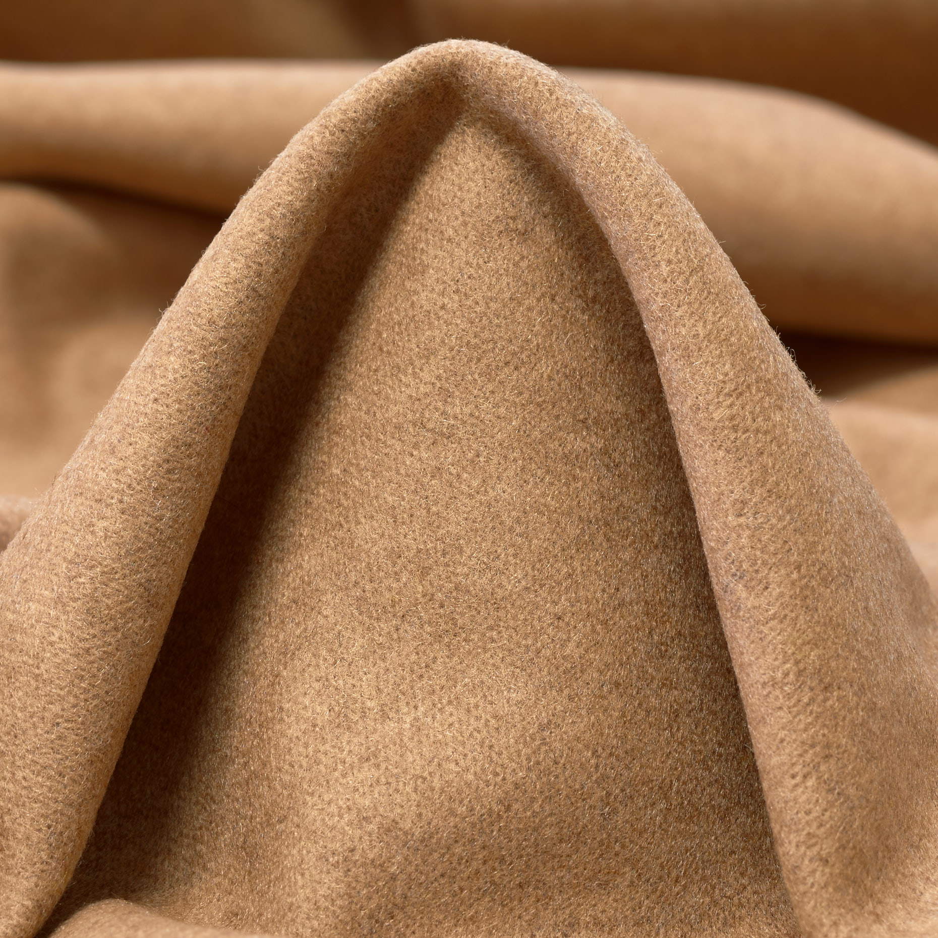 JERSEY, BOILED WOOL, IRISH CREAM (F000038309)