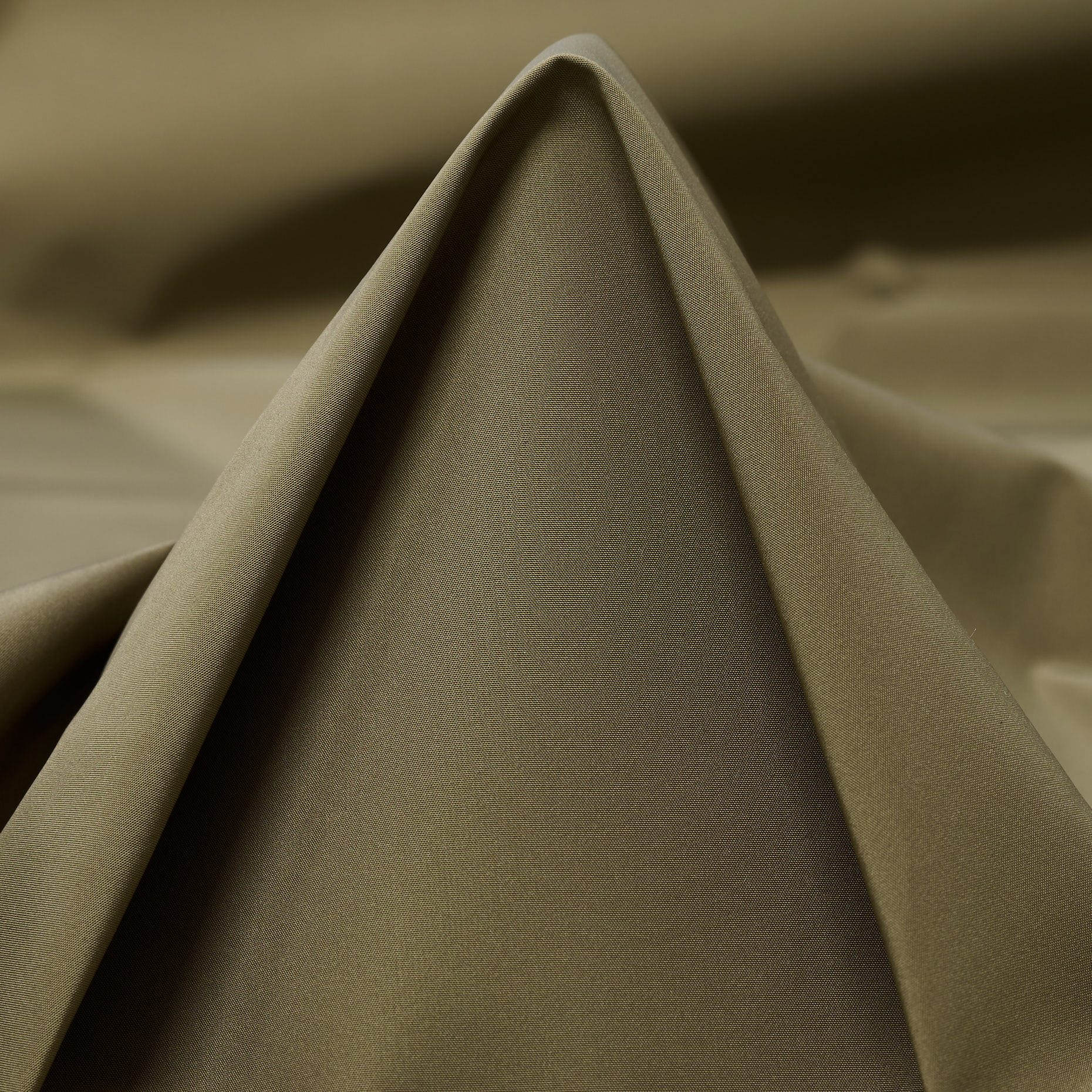 Taffeta, Dried Herb