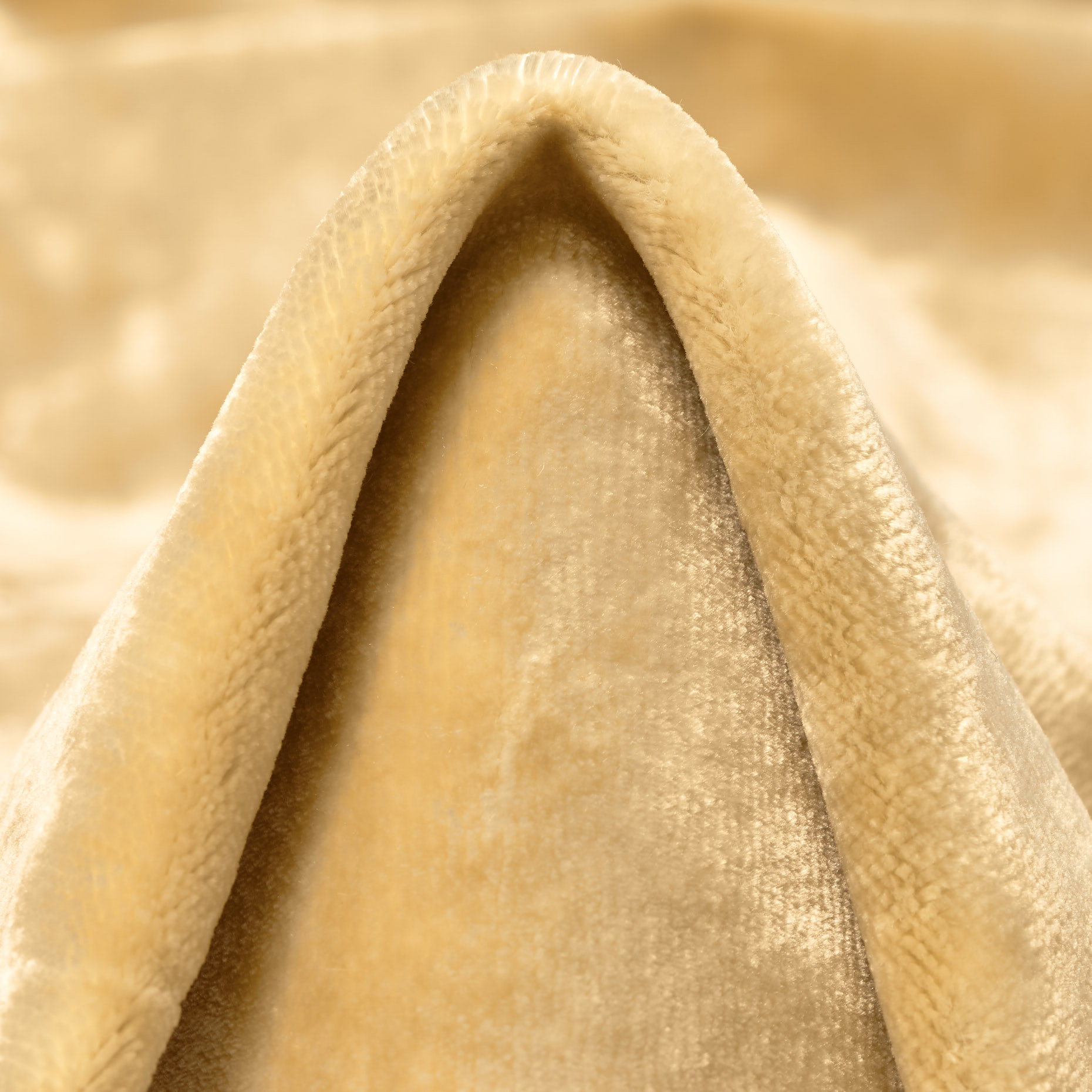 Velvet fur hotsell