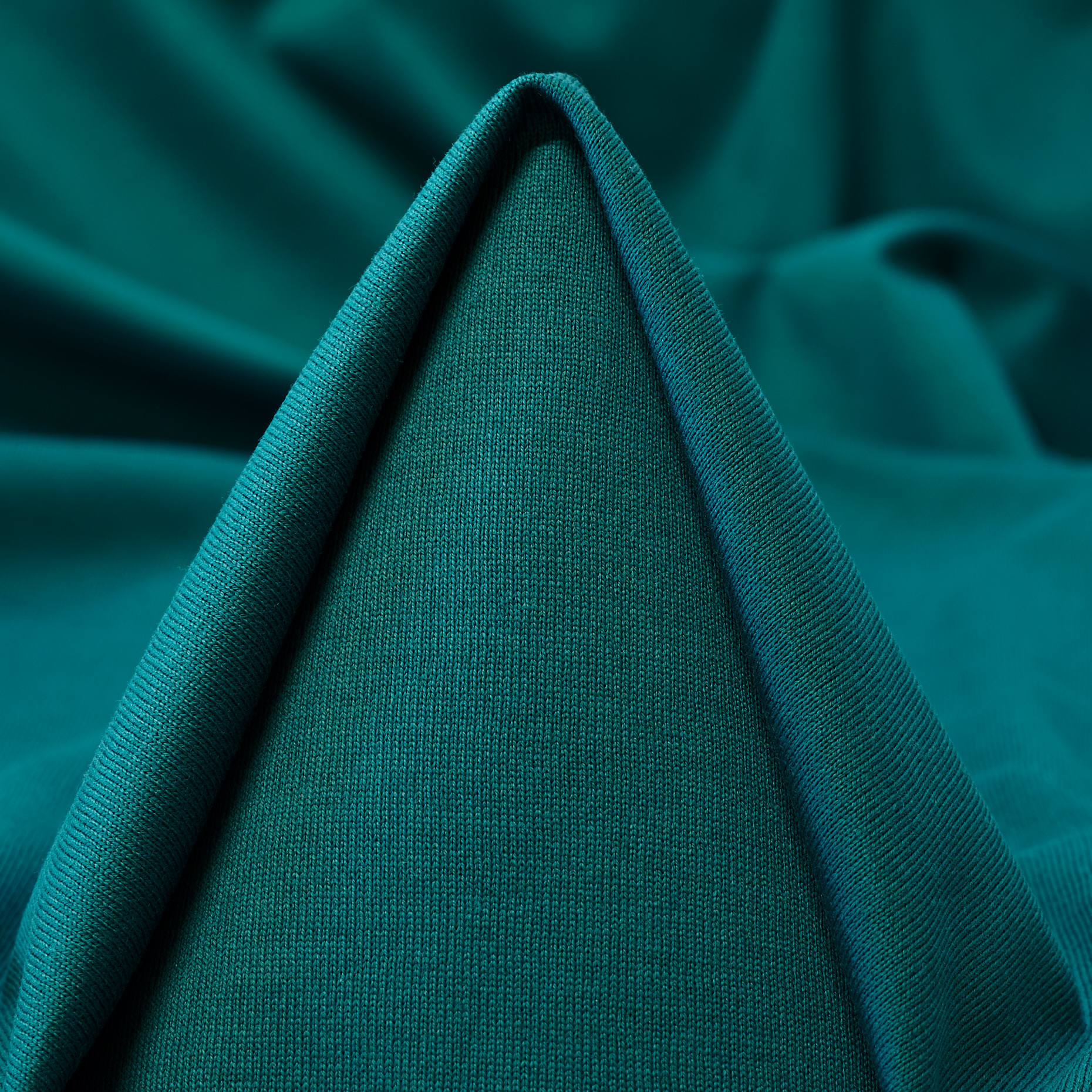 Single Jersey, Coton, Everglade (F000053455)