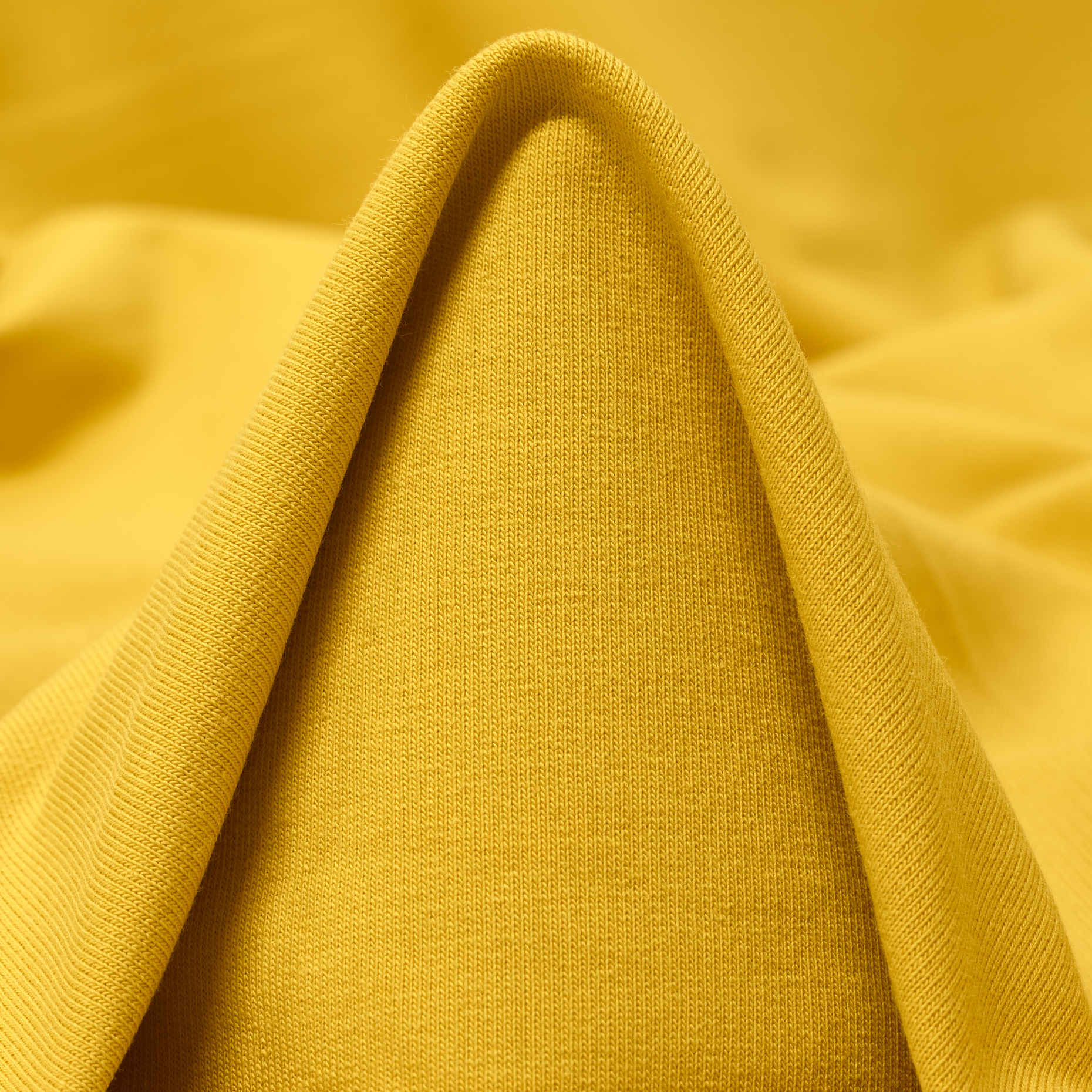 Cotone, French Terry, Sunlight