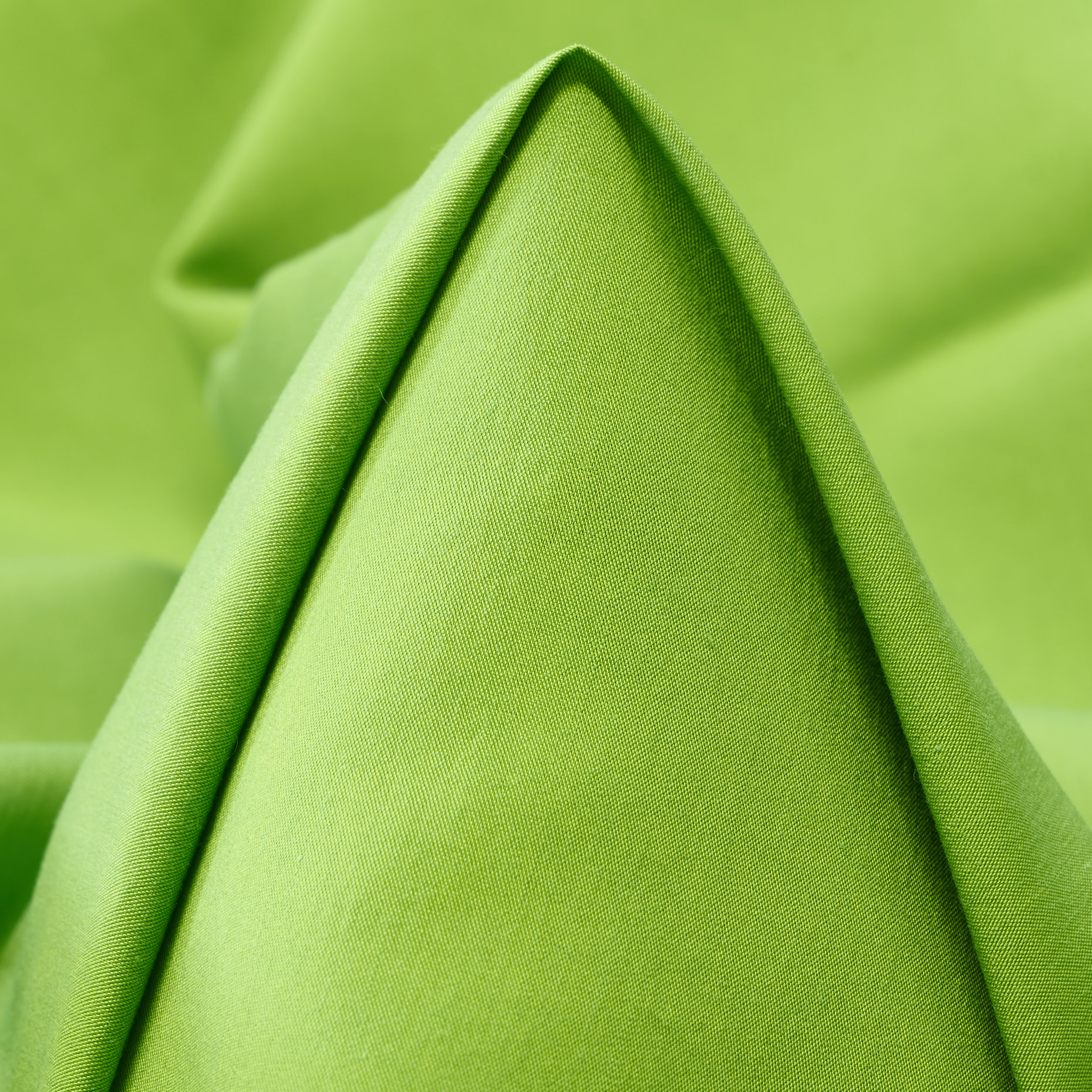 Popeline, Cotone, Seta, Greenery (T0000486)