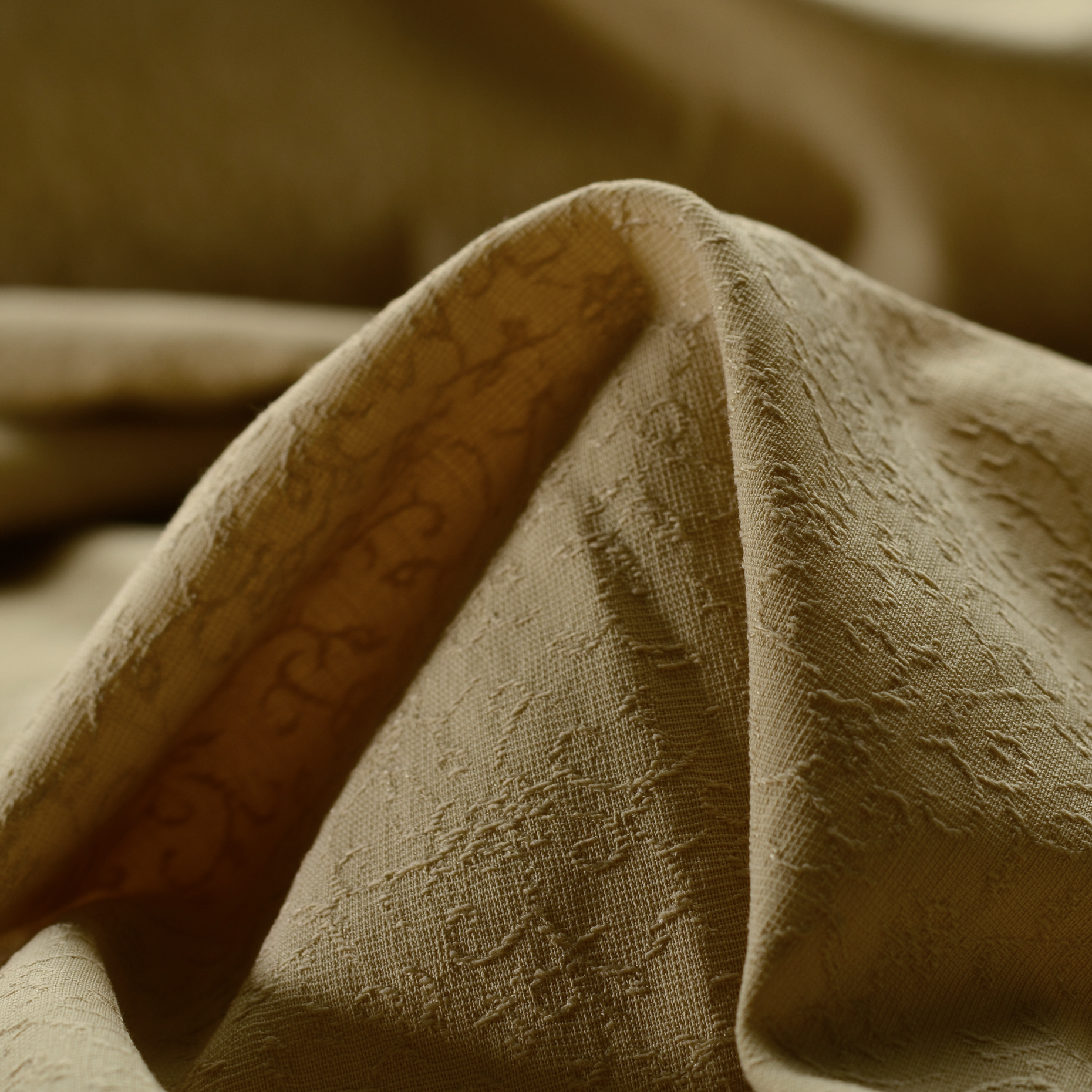 Jacquard, Cotone Elastico, Tono su Tono, Biscuit