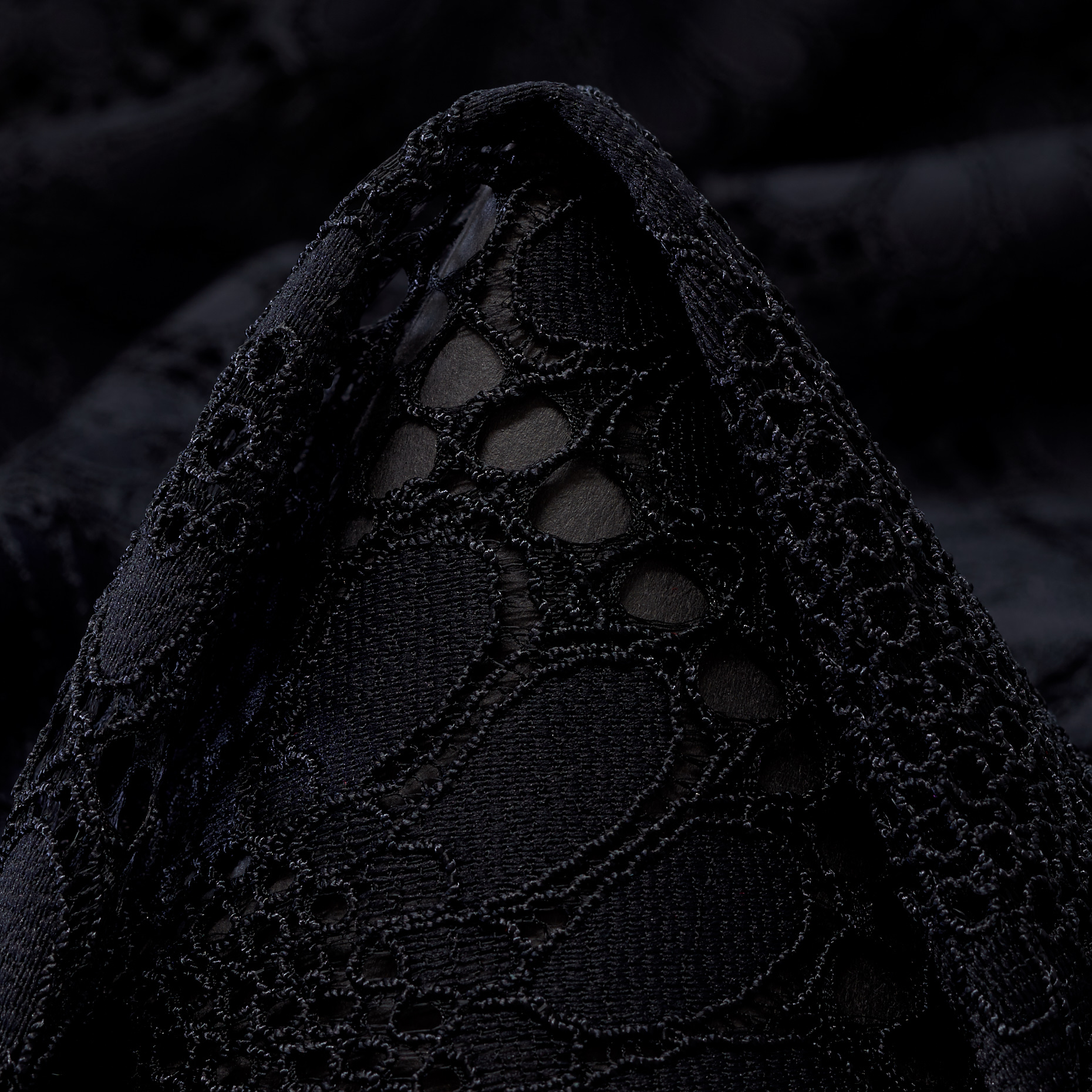 Lace, Floral, Raven Black