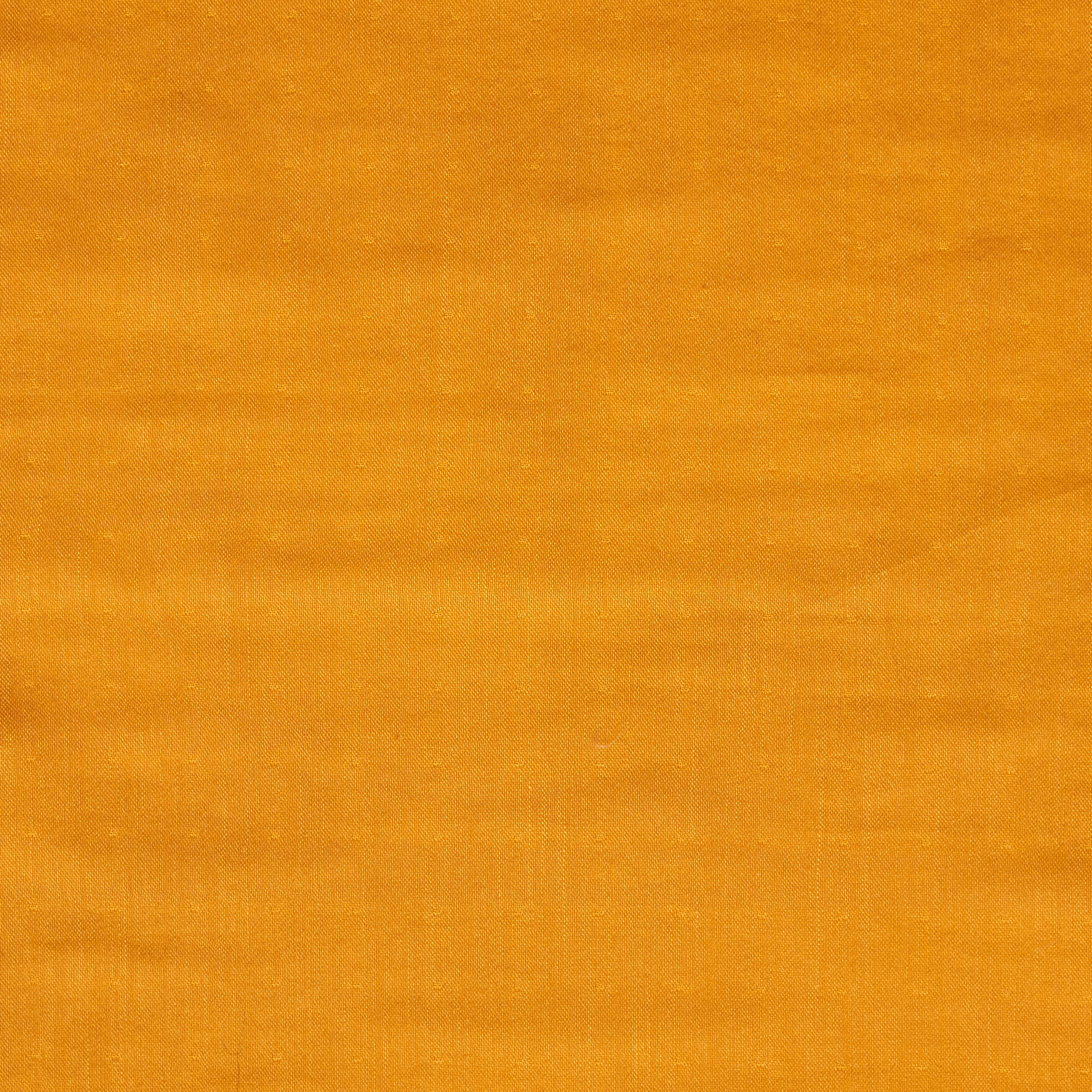 Batiste Texture DOUBLE, BATISTE, COTTON, APRICOT | F000051015