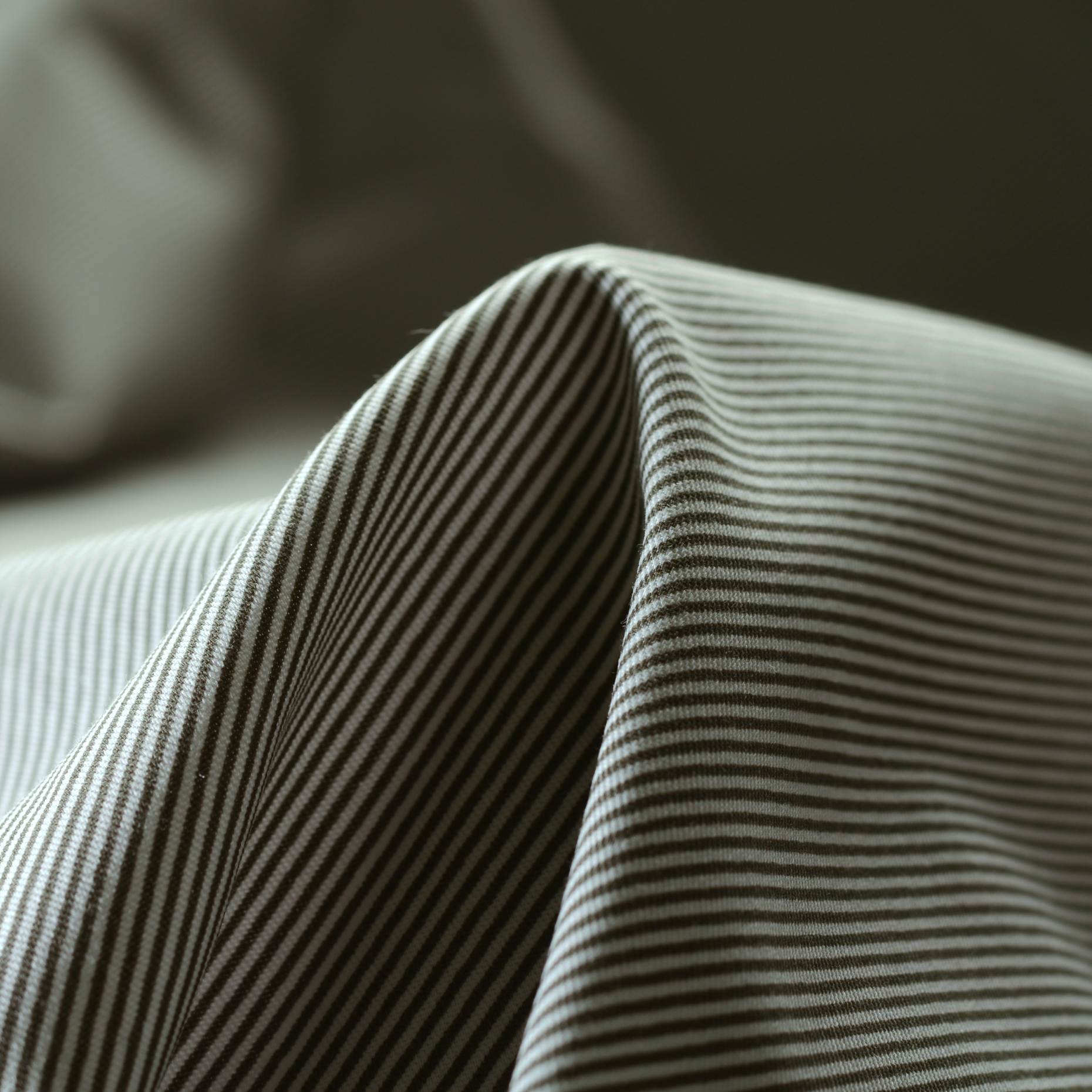 Misto Cotone, Rigato, Brilliant White&Capulet Olive